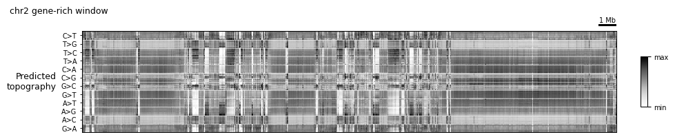 ../_images/tutorials_6.genome_browser_plotting_16_0.png