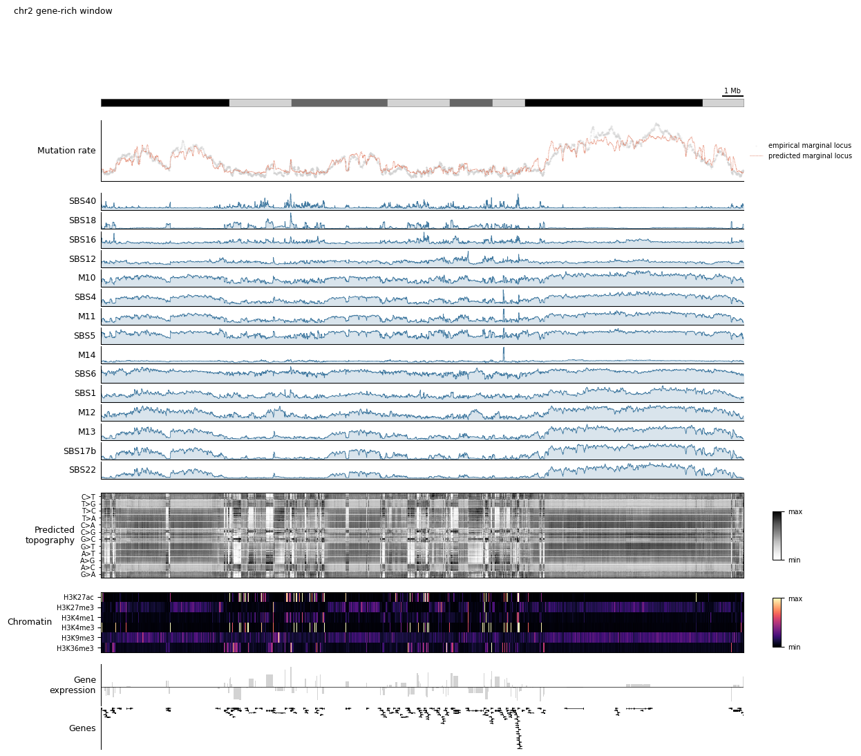 ../_images/tutorials_6.genome_browser_plotting_24_1.png