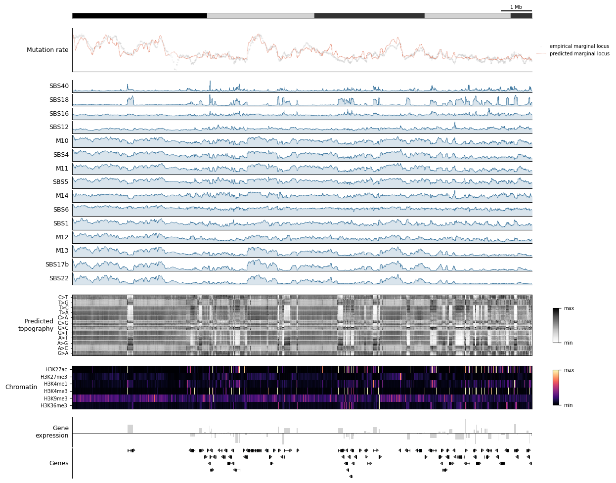../_images/tutorials_6.genome_browser_plotting_26_1.png